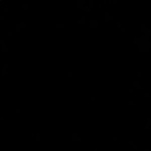 Meet your Posher, Ellis